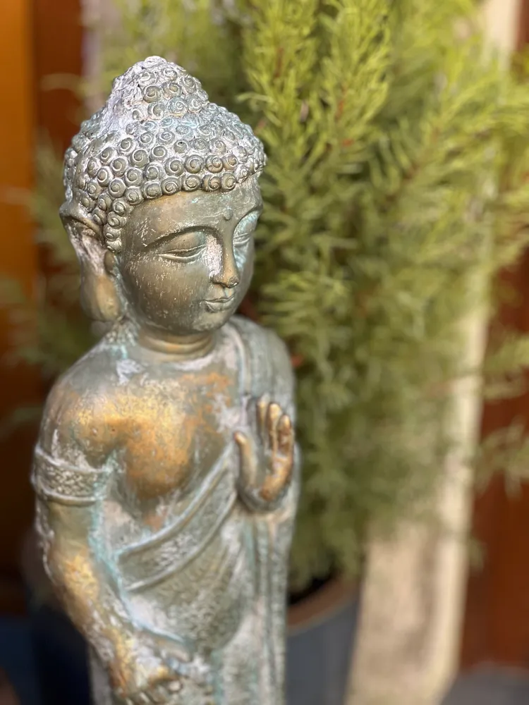 A metal Buddhist statue in front of green plants